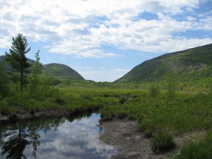 Acadia Mountains