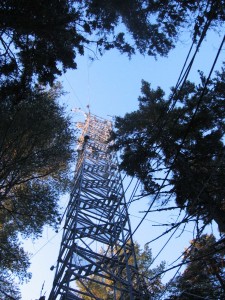 forest research tower