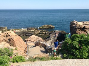 Photo of Thunder Hole in Acadia National Park by Matt Scaccia.