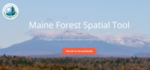 Screenshot of Maine Forest Spatial Tool website