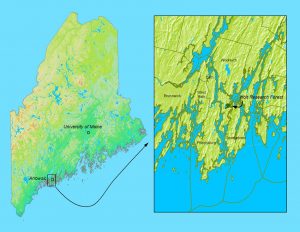 Map of Maine with closeup of the Holt Research Forest area.