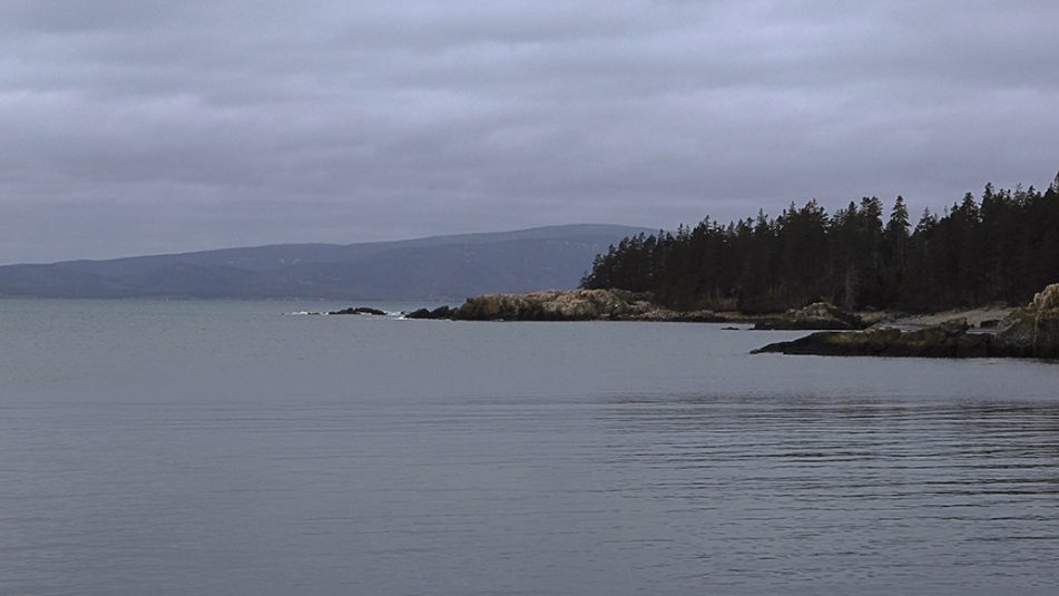Photo of Schoodic Peninsula, Maine.