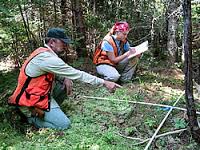 Photo of researchers in Penobscot Experimental Forest