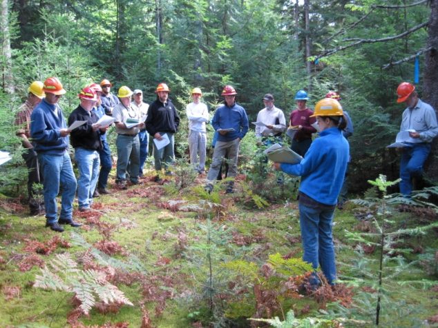 penobscot experimental forest