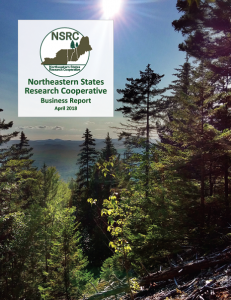 Cover of the NSRC Business Report published in April 2018