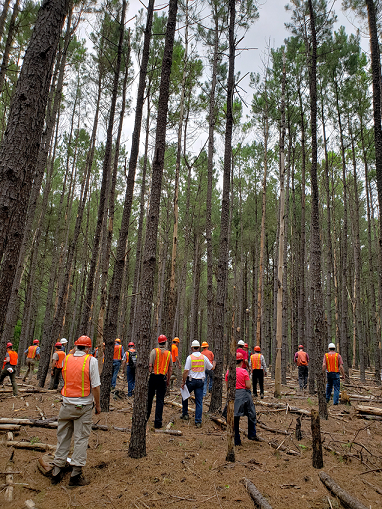 Photo CAFS 2019 field tour