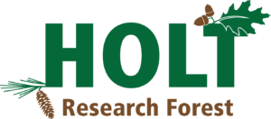 Press release about the Holt Forest strategic plan release