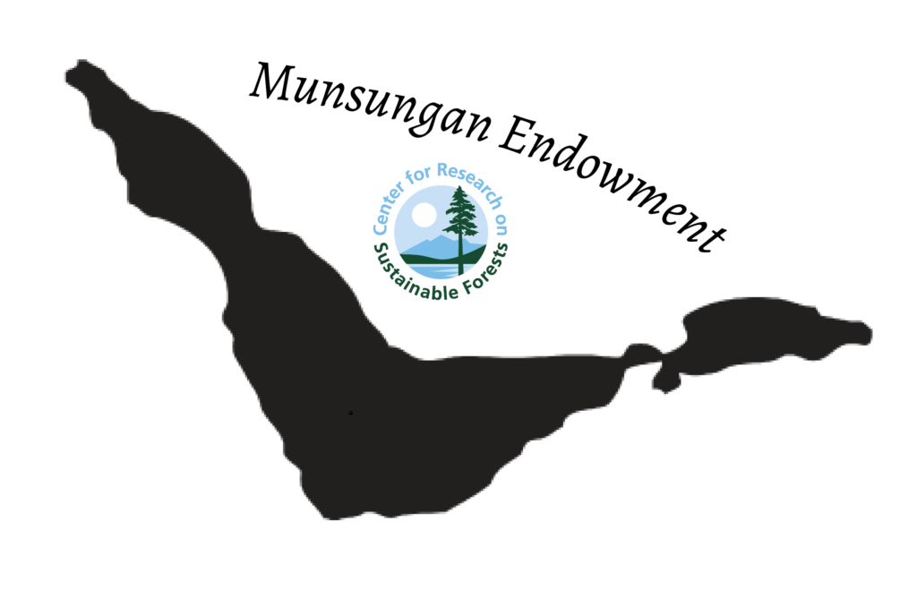 Munsungan Lake image used for logo