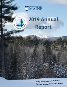 2019 annual report cover