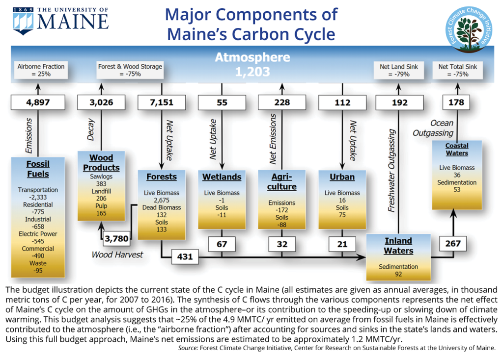 Graph depicting current stat of the carbon cycle in Maine for 2007-2016