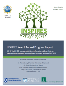 Cover image of INSPIRES Year 1 Progress report