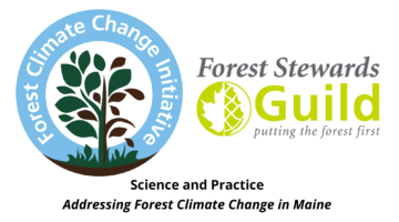 Logo for FCCI and FSG webinar series