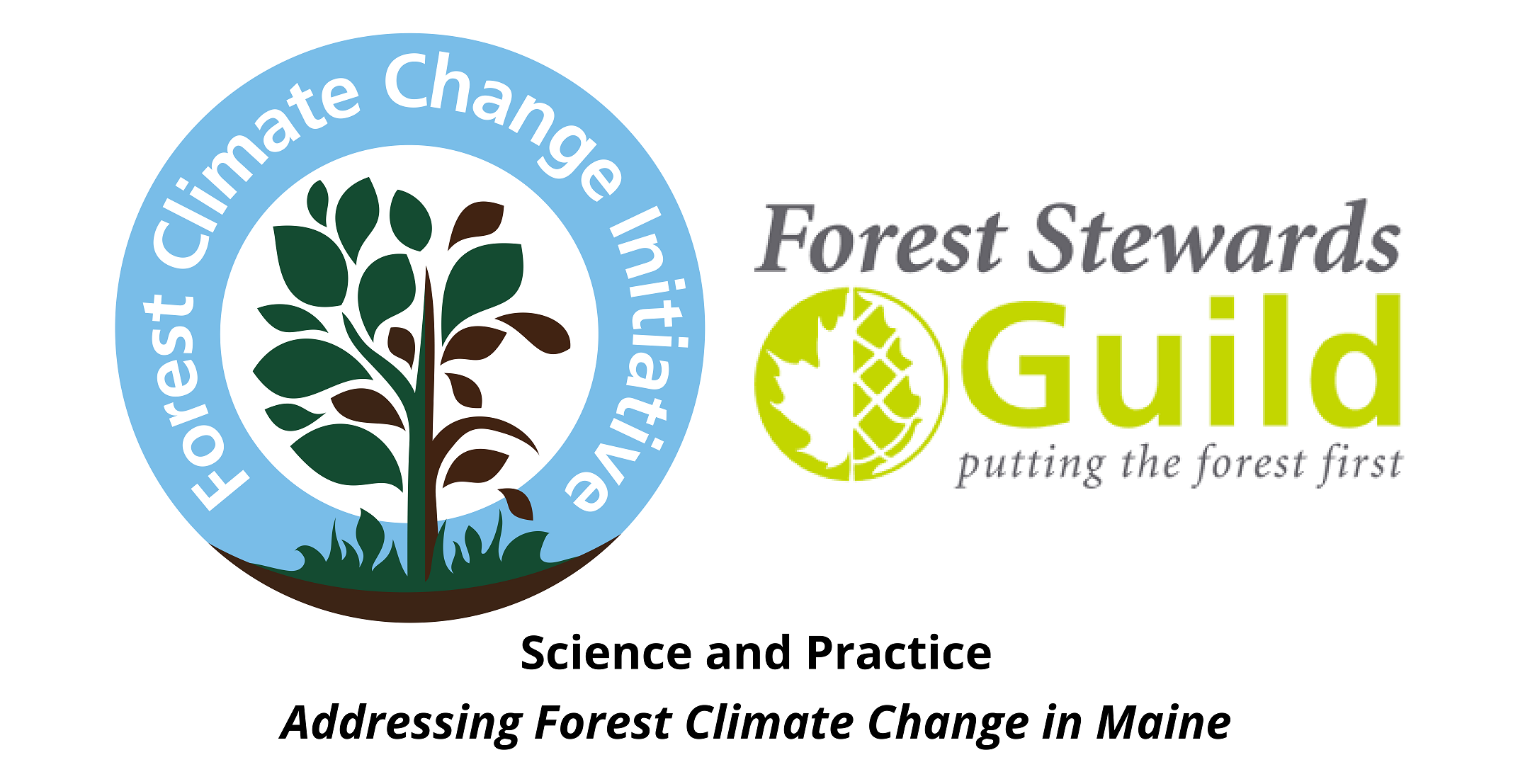 Logo for FCCI and FSG webinar series