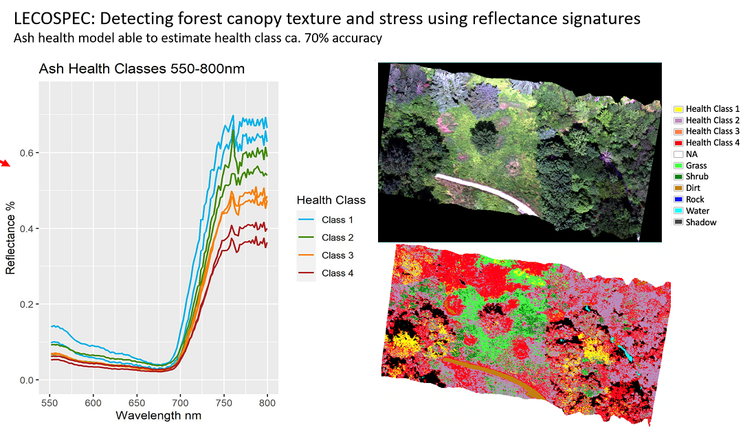 Graphs and images of forest canopy texture and stress using reflectance signatures
