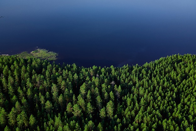Aerial view of lake, islands, and forest. National park Koli. Nature of North Karelia, Finland.