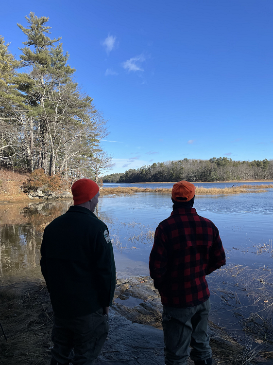 Decorative photo from Holt Research Forest