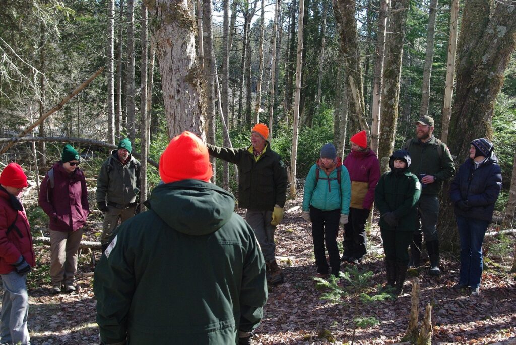 Coastal Forest field tour photo