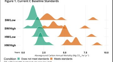 Carbon baseline standards figure