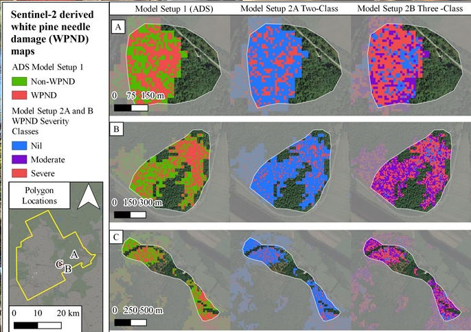 Satellite derived white pine needle damage (WPND) maps.