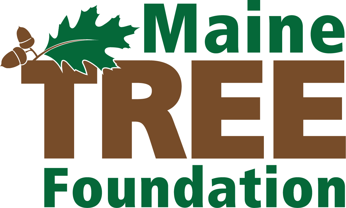 Maine TREE logo