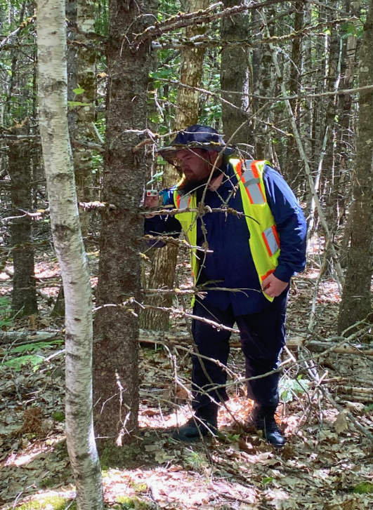 photo of MCC student Bryon Carroll measuring trees