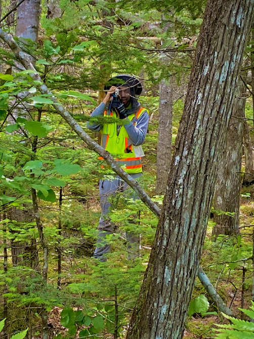 photo of MCC student Casmir Brown collecting tree data
