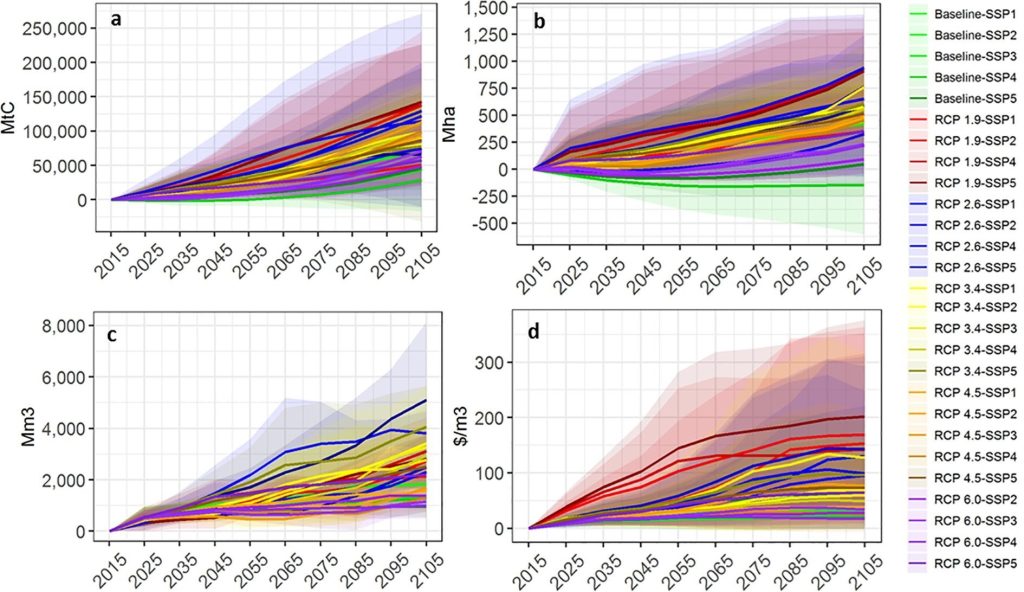 Illustration of projected global change in carbon stock, forest area, timber harvest and timber price