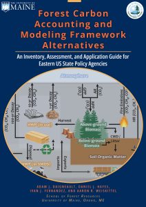cover forest modeling guide