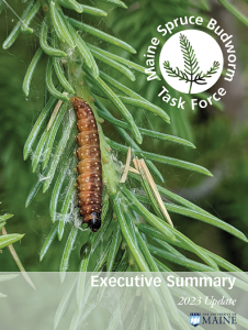 Cover image of 2023 SBW task force executive summary