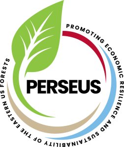Logo for Perseus project
