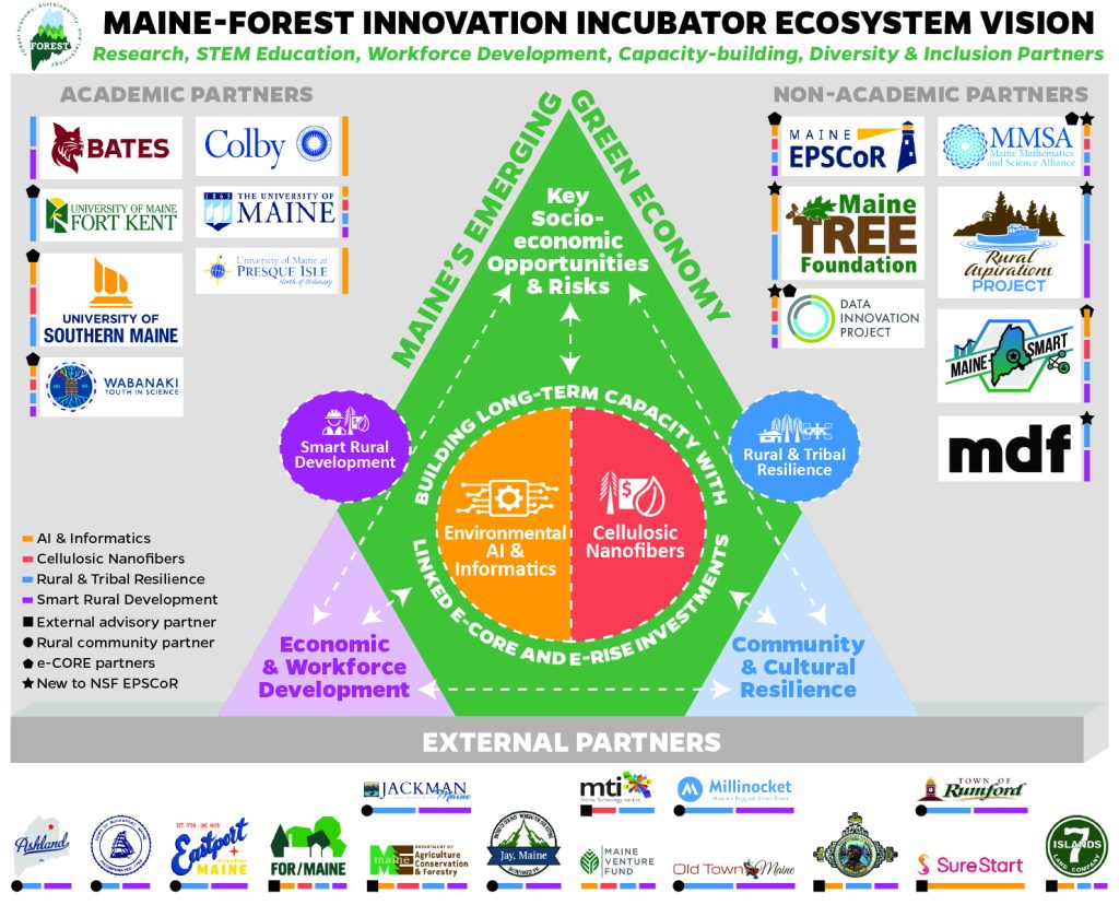 Vision diagram for Maine-FOREST