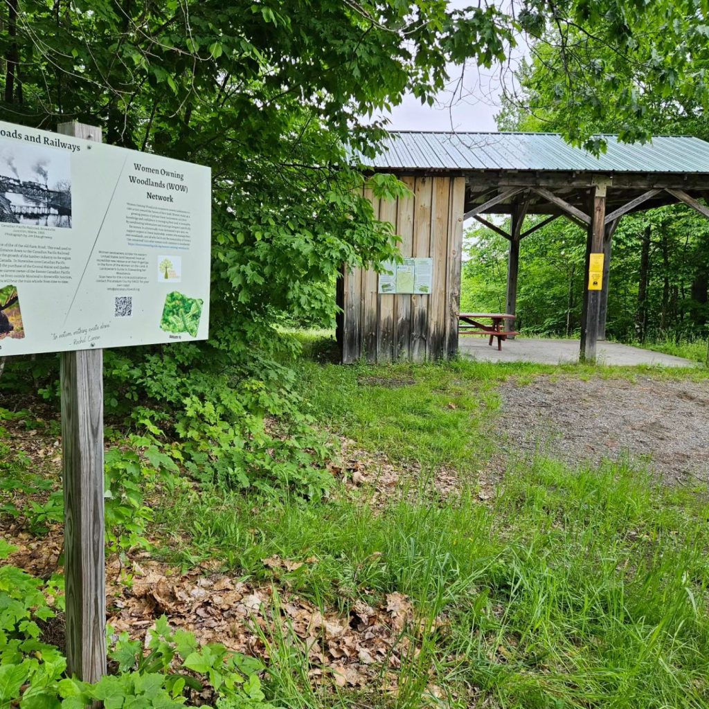 Photo of Williamsburg Forest outdoor classroom