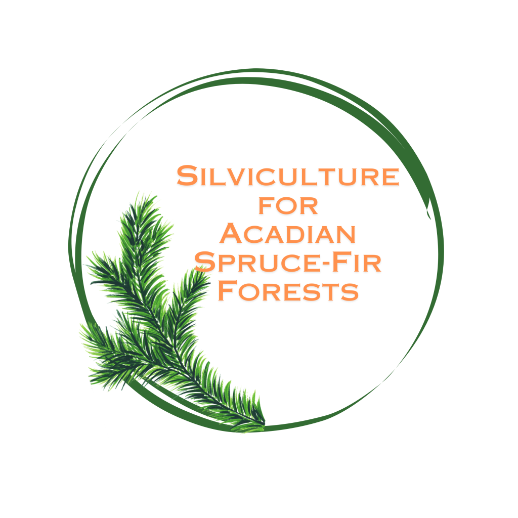 Logo for Silviculture for Acadian Spruce-Fir Forests