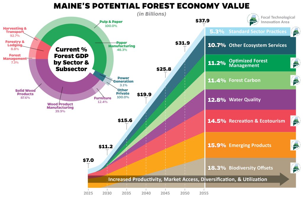 Illustration showing Maine's potential forest economy value