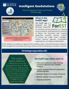 First page of ForEST App summary sheet