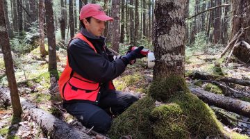 Photo of Chris Hettwer taking tree measurements