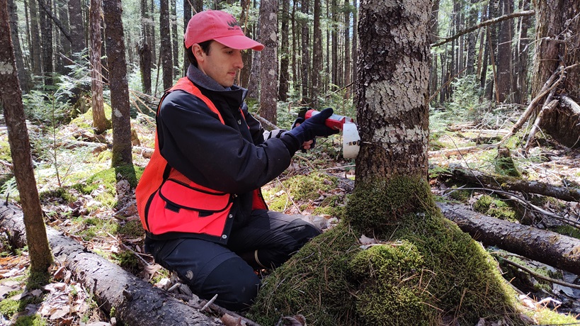 Photo of Chris Hettwer taking tree measurements