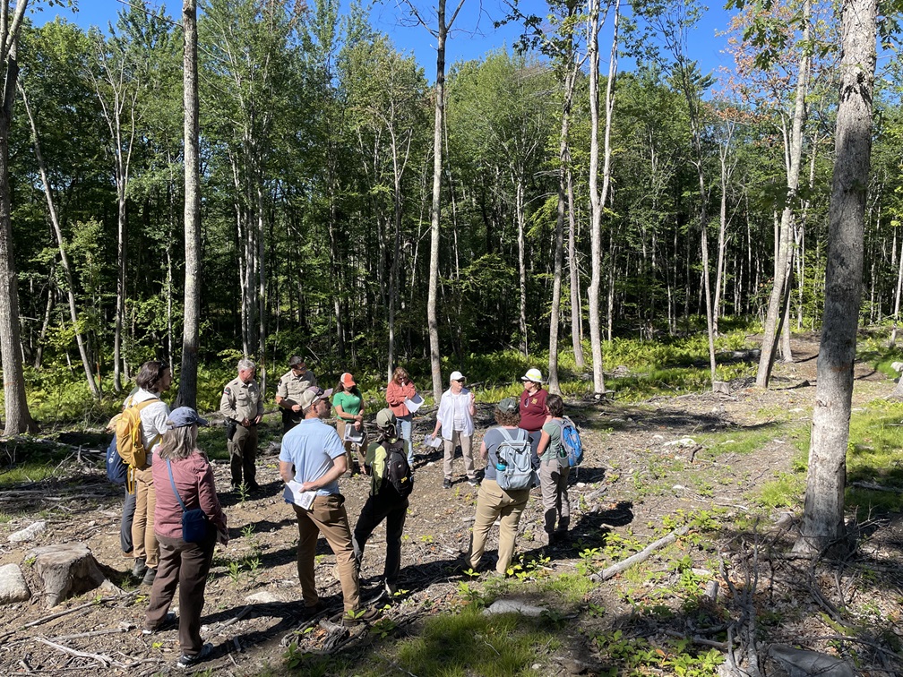 Photo of workshop attendees at Massabesic Experimental Forest in Maine