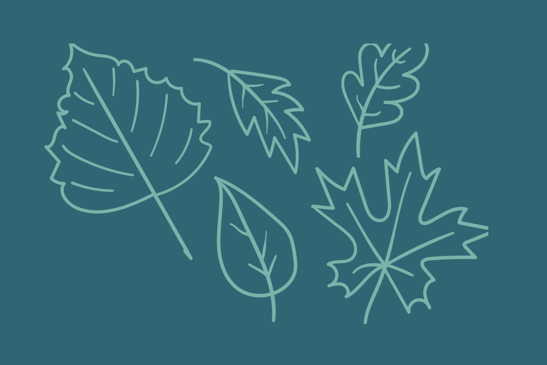 decorative