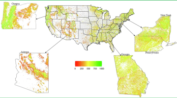 Raster map, Figure 8 from the original article